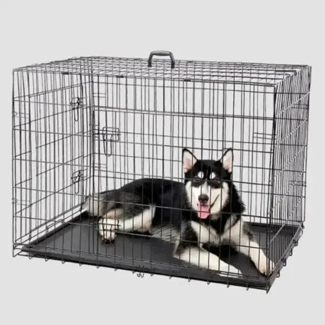 Hundebox - Transportbox mit Bodenschale - Mypuppystore #