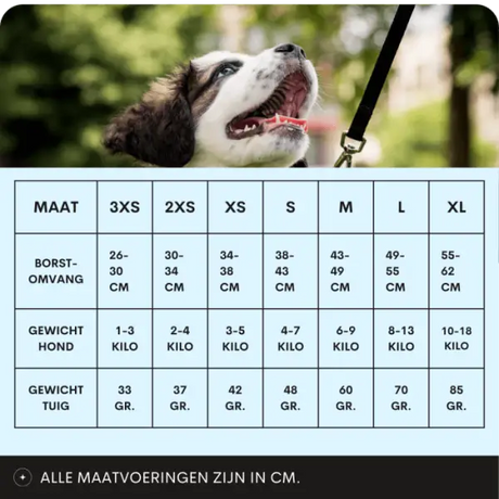 Topmast Hundegeschirr 