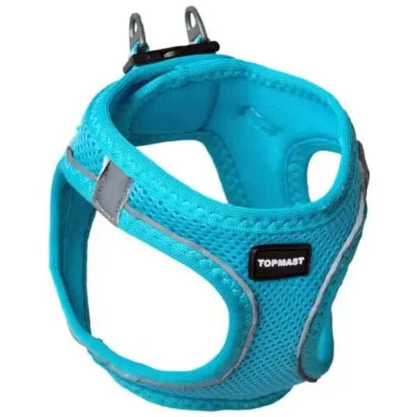 Topmast Hundegeschirr - türkisblau - Mypuppystore #